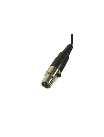 IWM LV Mic